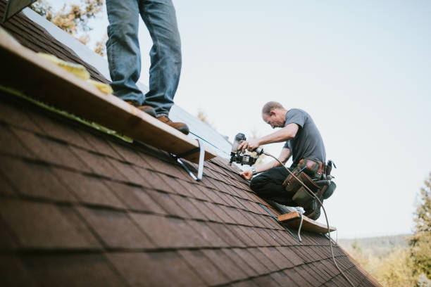 Best Roof Repair Services  in Muscoda, WI